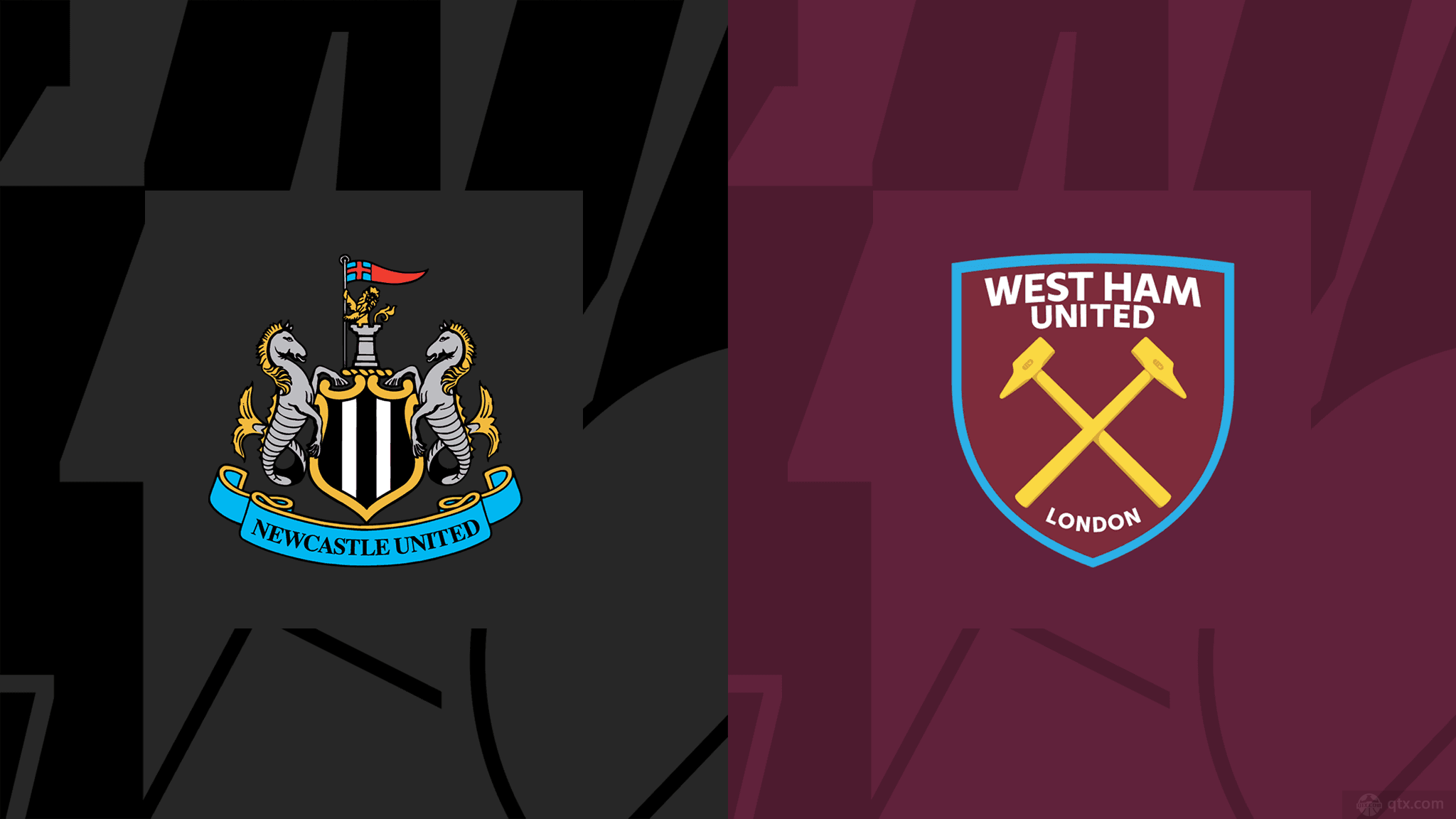 毛球带来新 毛球带来新