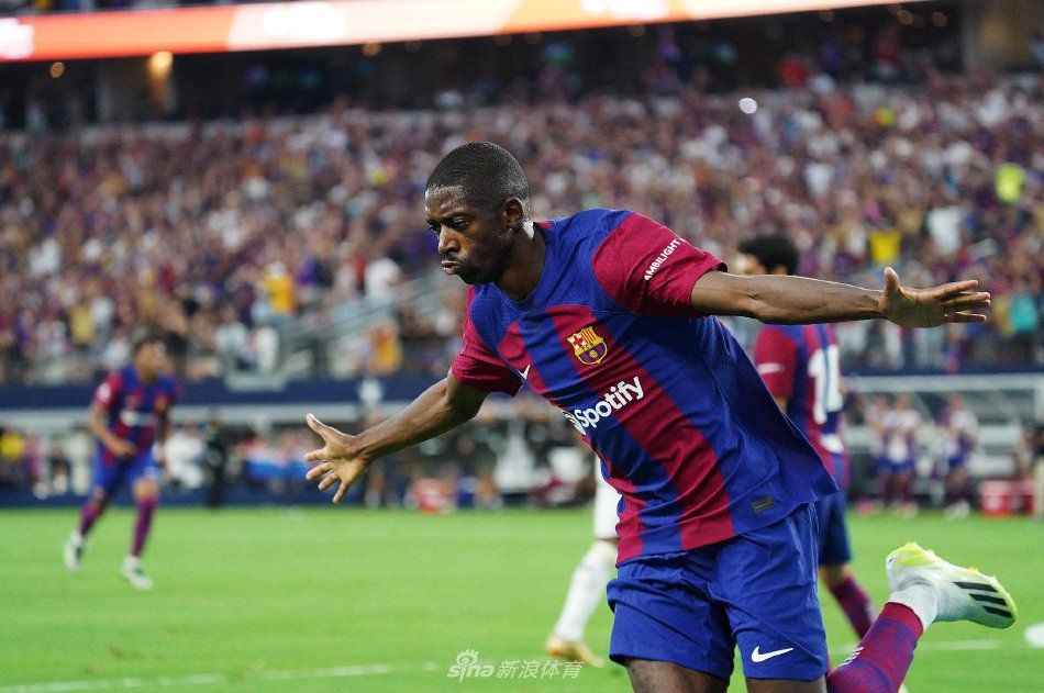 们个人职业 们个人职业